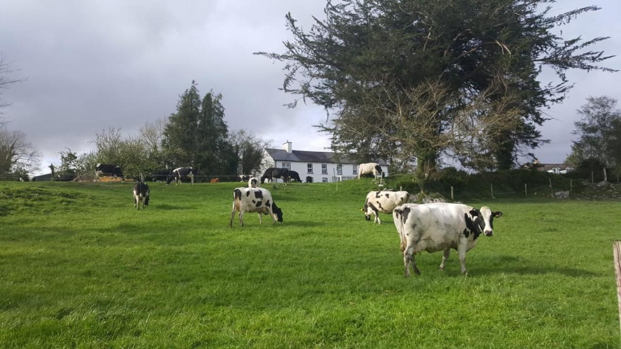 Gortamullen House, Kenmare Bed & Breakfast Екстериор снимка