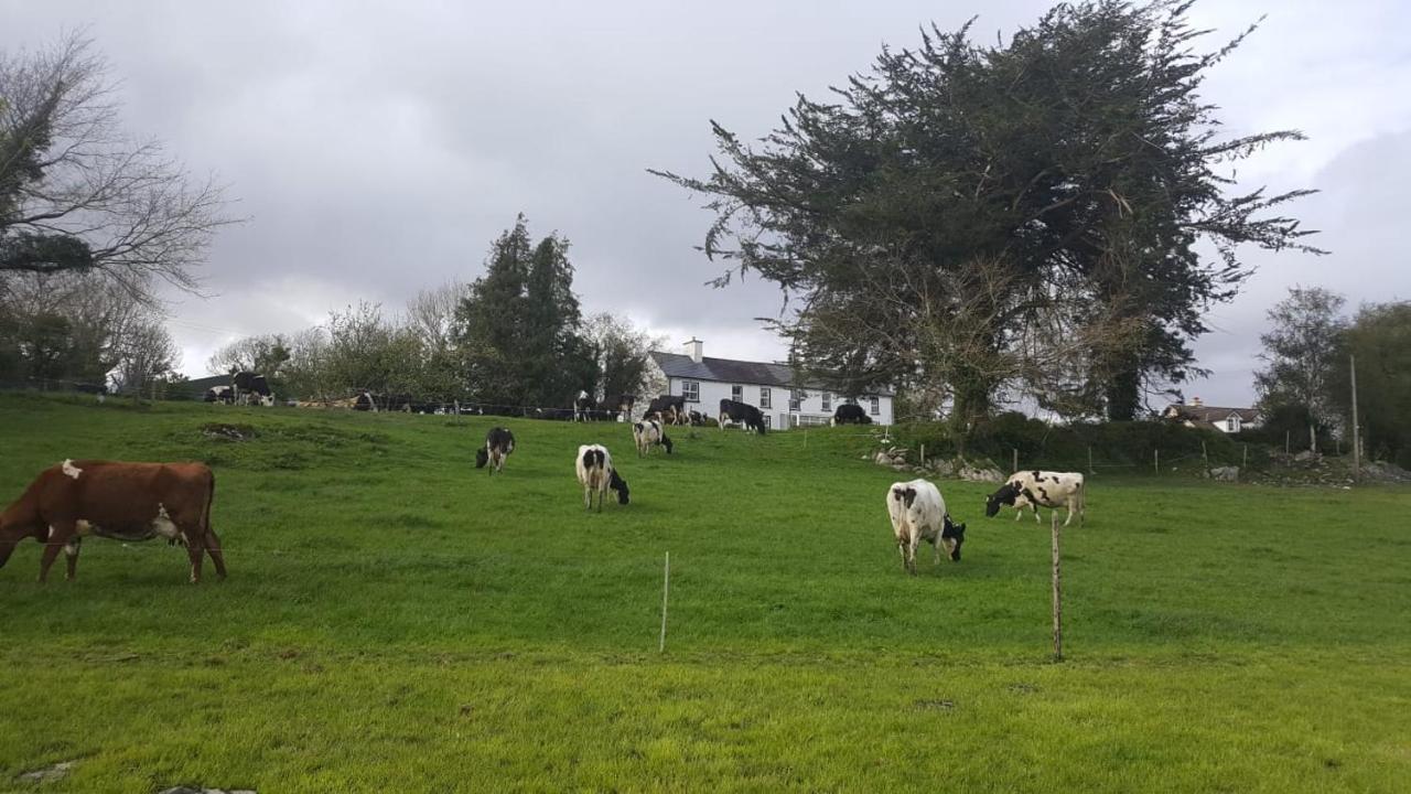 Gortamullen House, Kenmare Bed & Breakfast Екстериор снимка